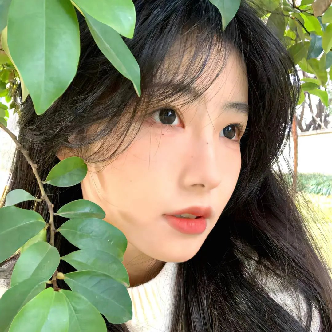 森林行者